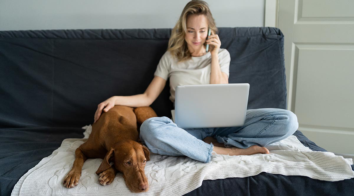 Sowmans Phonecall Dog